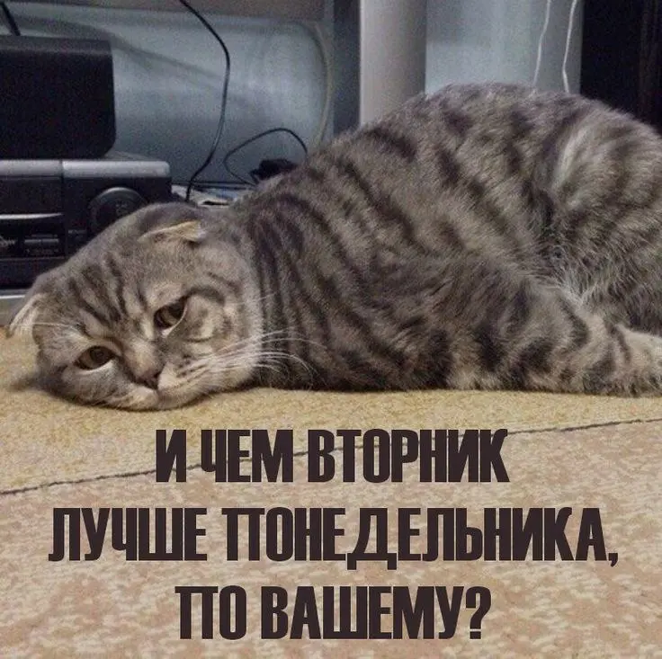 Кодинск LIVE в MAX