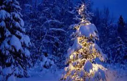 «Как Дед Мороз на свет появился»