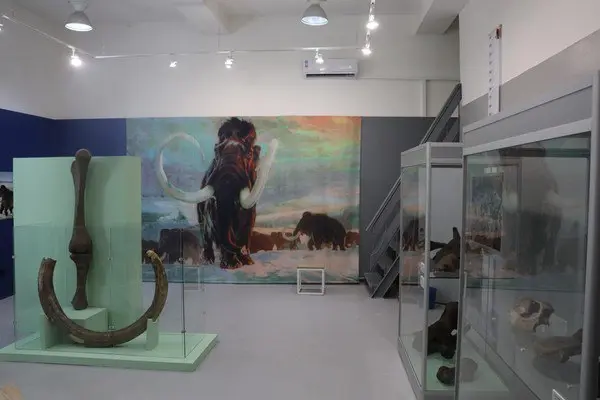 Выставка "Здесь был мамонт"