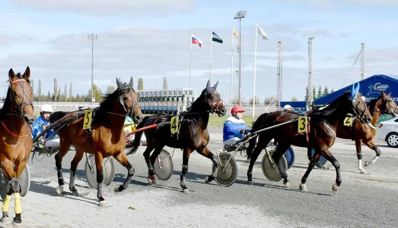 День конно-спортивных соревнований на ипподроме Акбузат