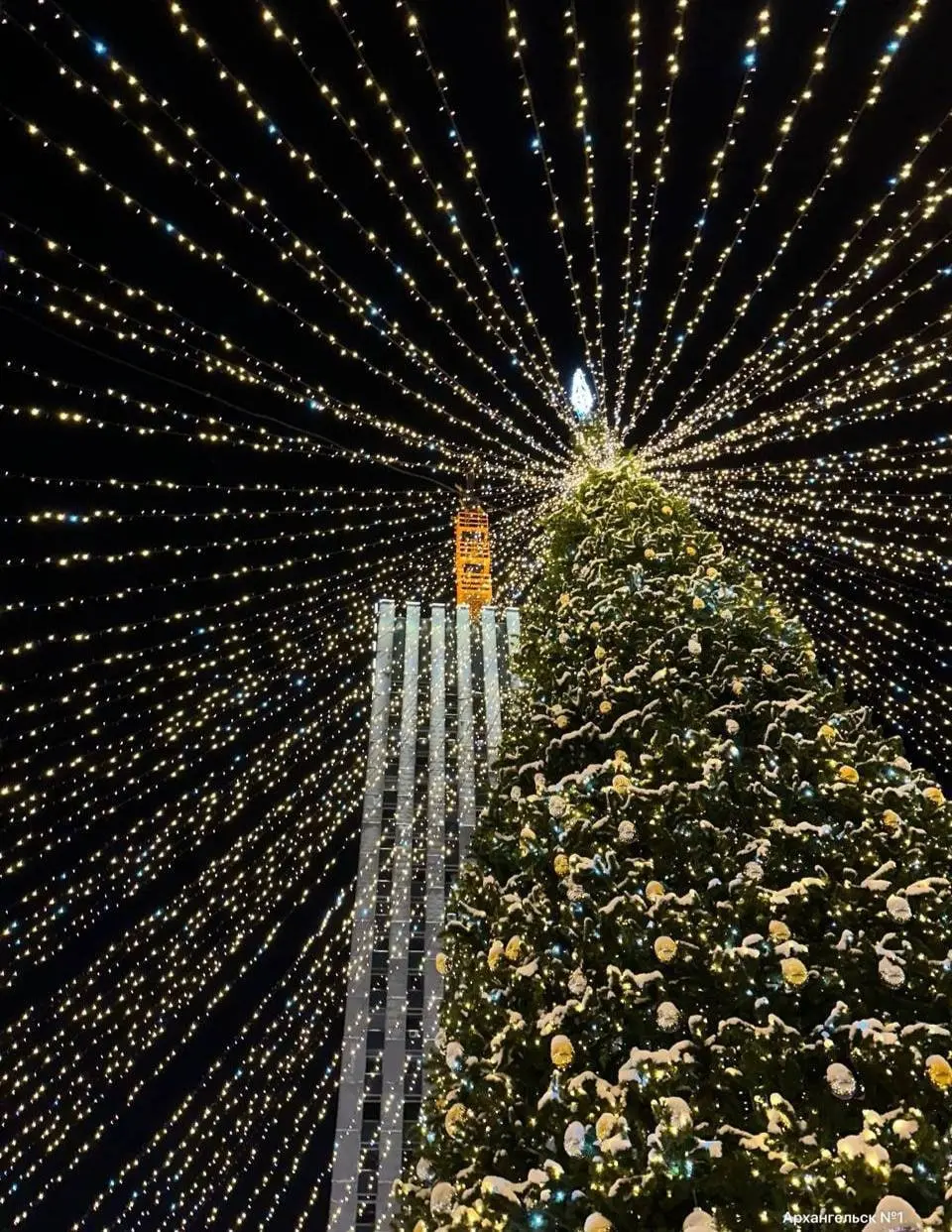 Зажжение огней на городской новогодней ёлке в Архангельске