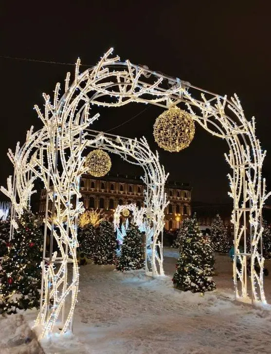 Возвращение зимнего оазиса: Зимний сад на Синем мосту открывается 10 декабря