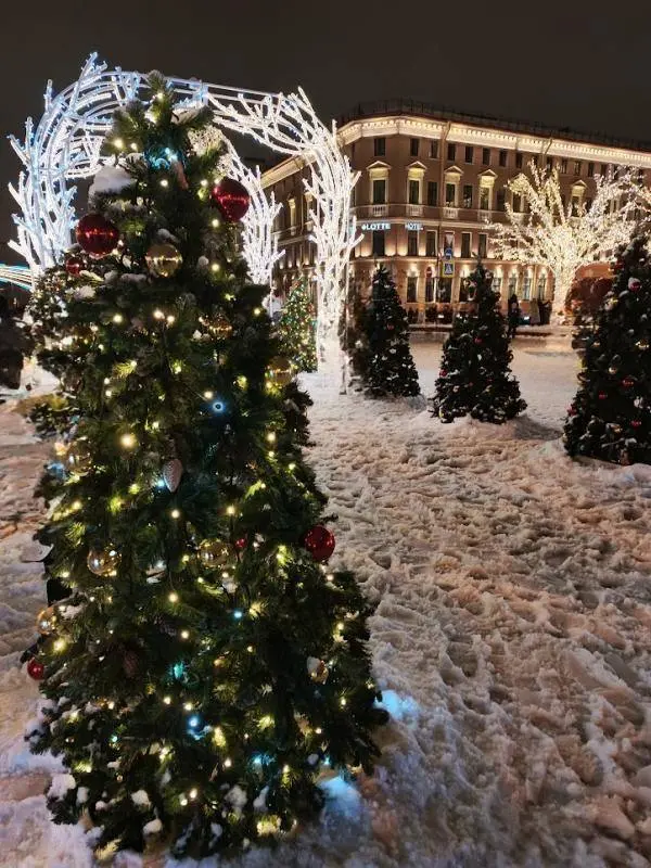 Возвращение зимнего оазиса: Зимний сад на Синем мосту открывается 10 декабря