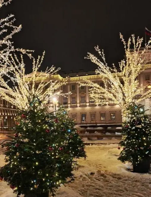 Возвращение зимнего оазиса: Зимний сад на Синем мосту открывается 10 декабря