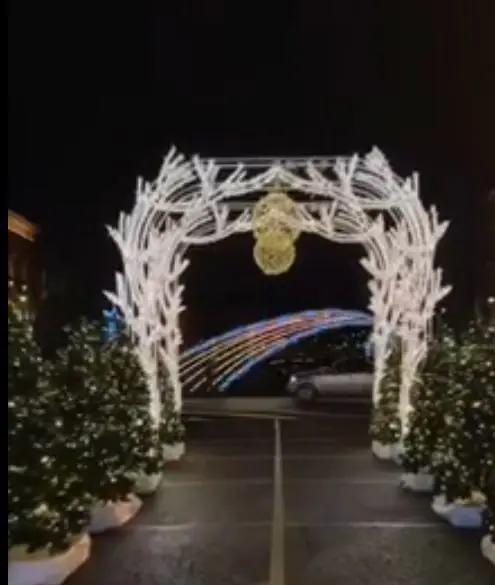 Зимний сад на Синем мосту: открытие в сезон