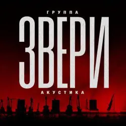 Группа "Звери". Акустика