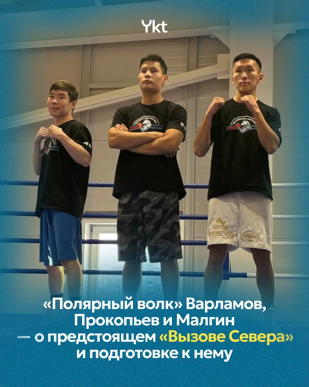 Полярный волк варламов, прокопьев и малгин — вызов севера