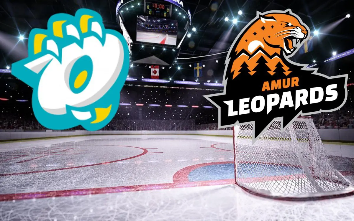 платинум арена запасное поле завершающий матч игрового дня совы амурские леопарды 2 лига