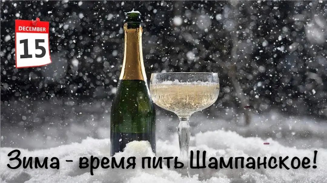 ШАМПАНЬ В ПЕРВЫЙ МЕСЯЦ ЗИМЫ