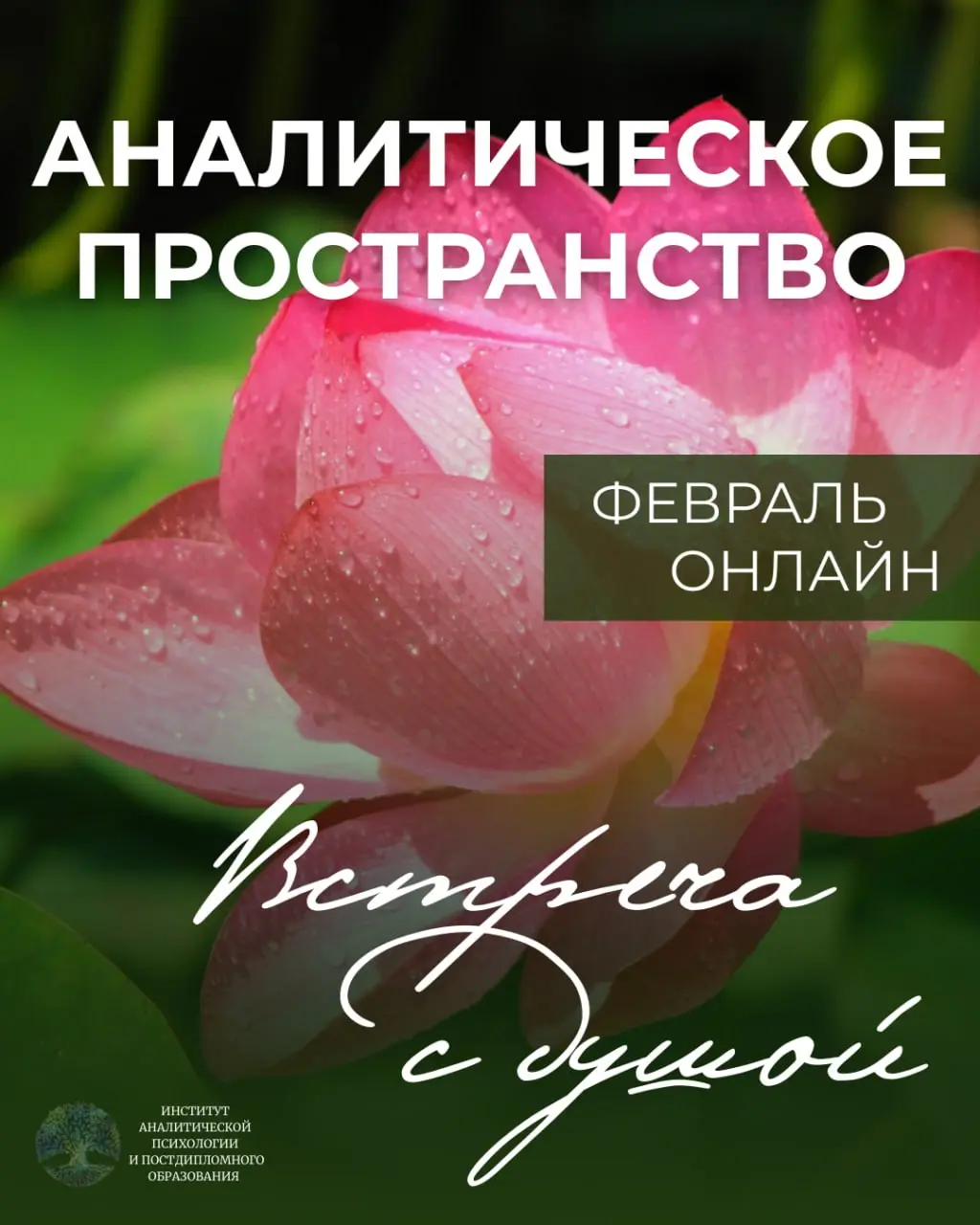 Аналитическое пространство: Встреча с душой