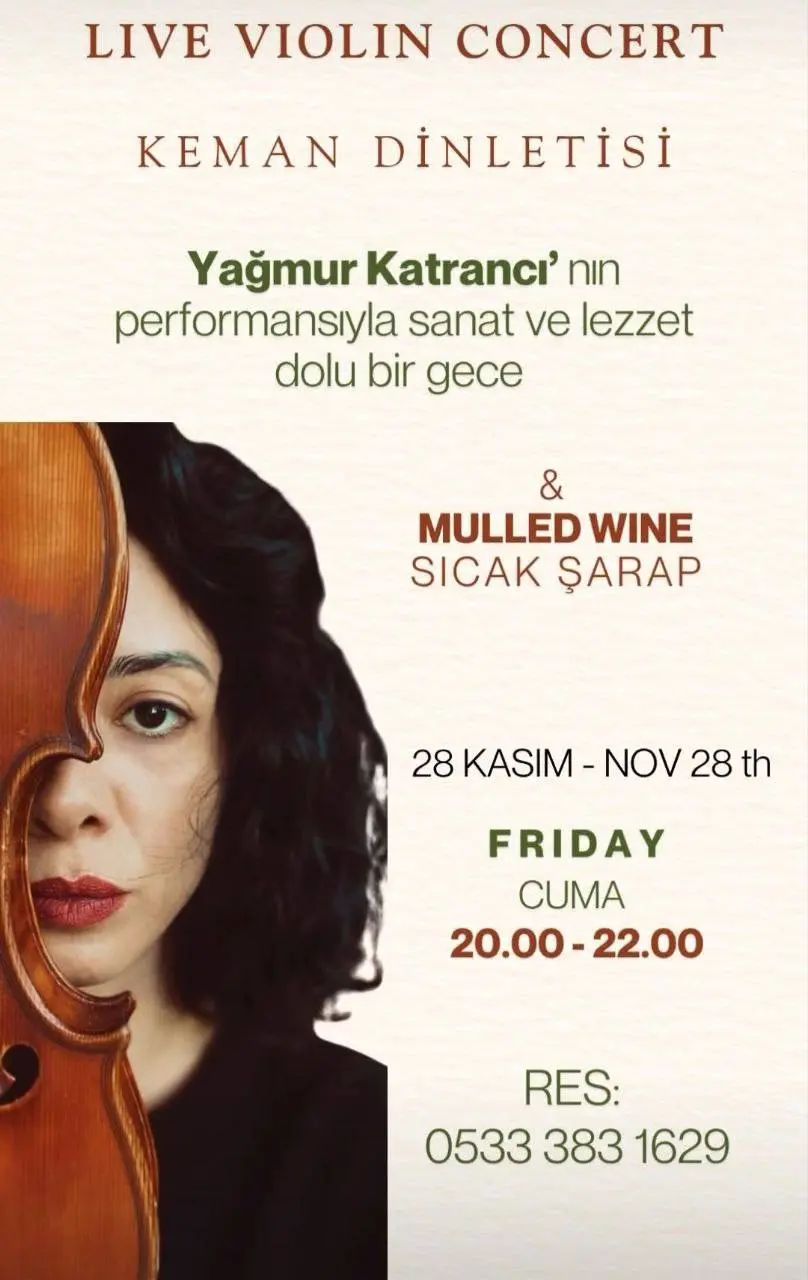 Скрипка + Глинтвейн