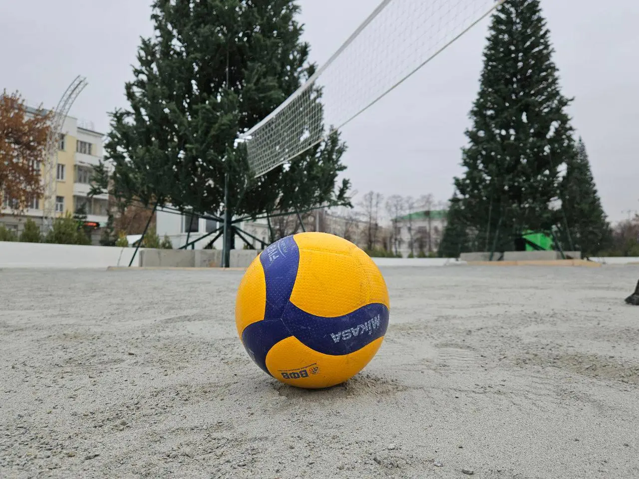 Волейбольный матч