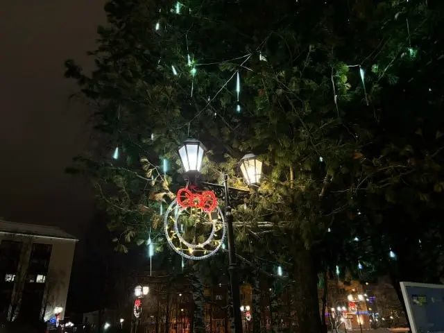 Ввели ограничения для новогодних площадок