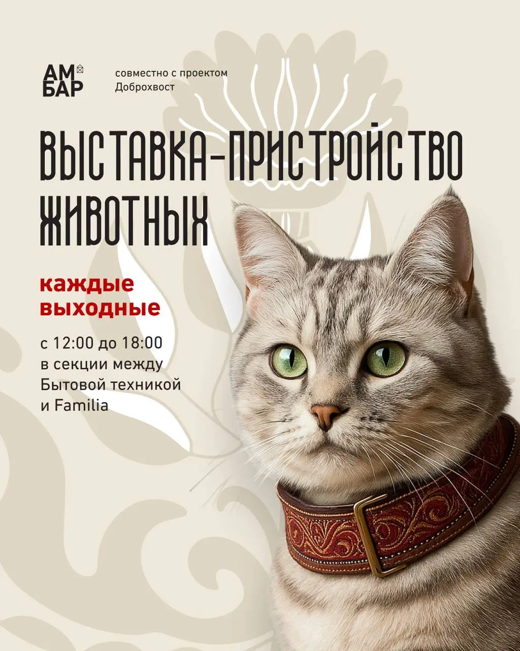 Выставка-пристройство животных с проектом Доброхвост