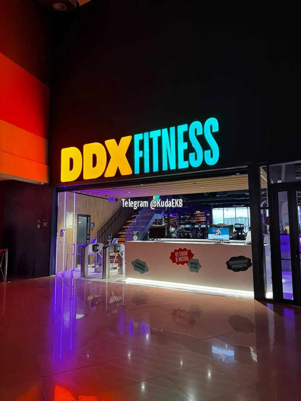 DDX Fitness