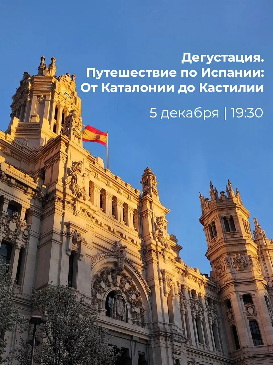 Винная дегустация. Путешествие по Испании: От Каталонии до Кастилии