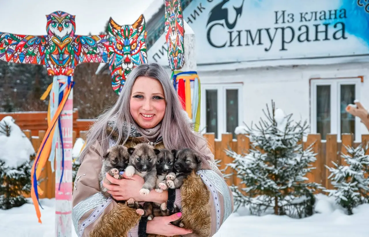 ВЫХОДНЫЕ У ХАСКИ