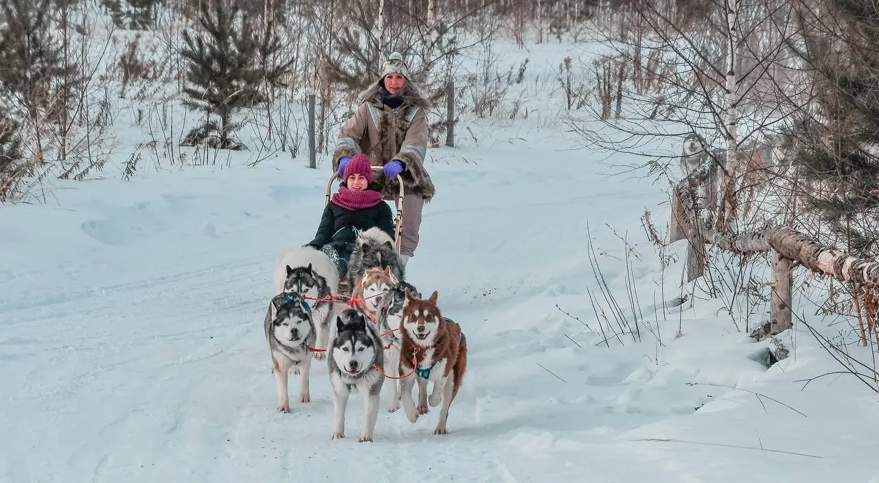 ВЫХОДНЫЕ У ХАСКИ