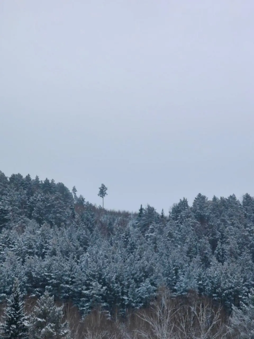 Ваше лучшее зимнее путешествие