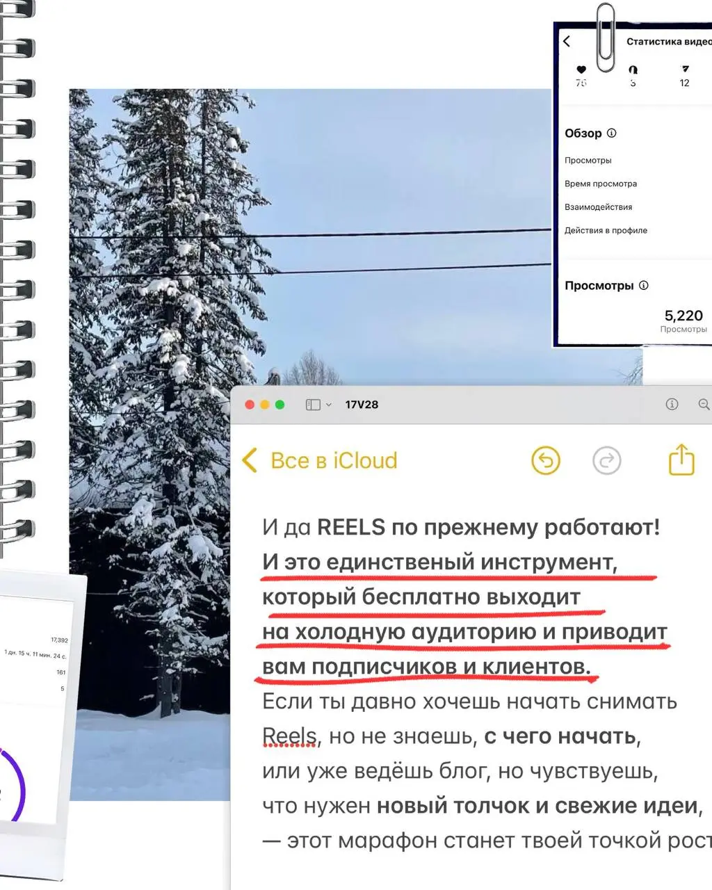 4-ГО МАРАФОНА ПО REELS