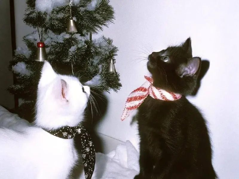 НАБОР ОТКРЫТ