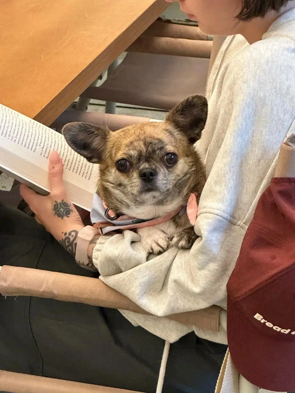 Идём смотреть кино