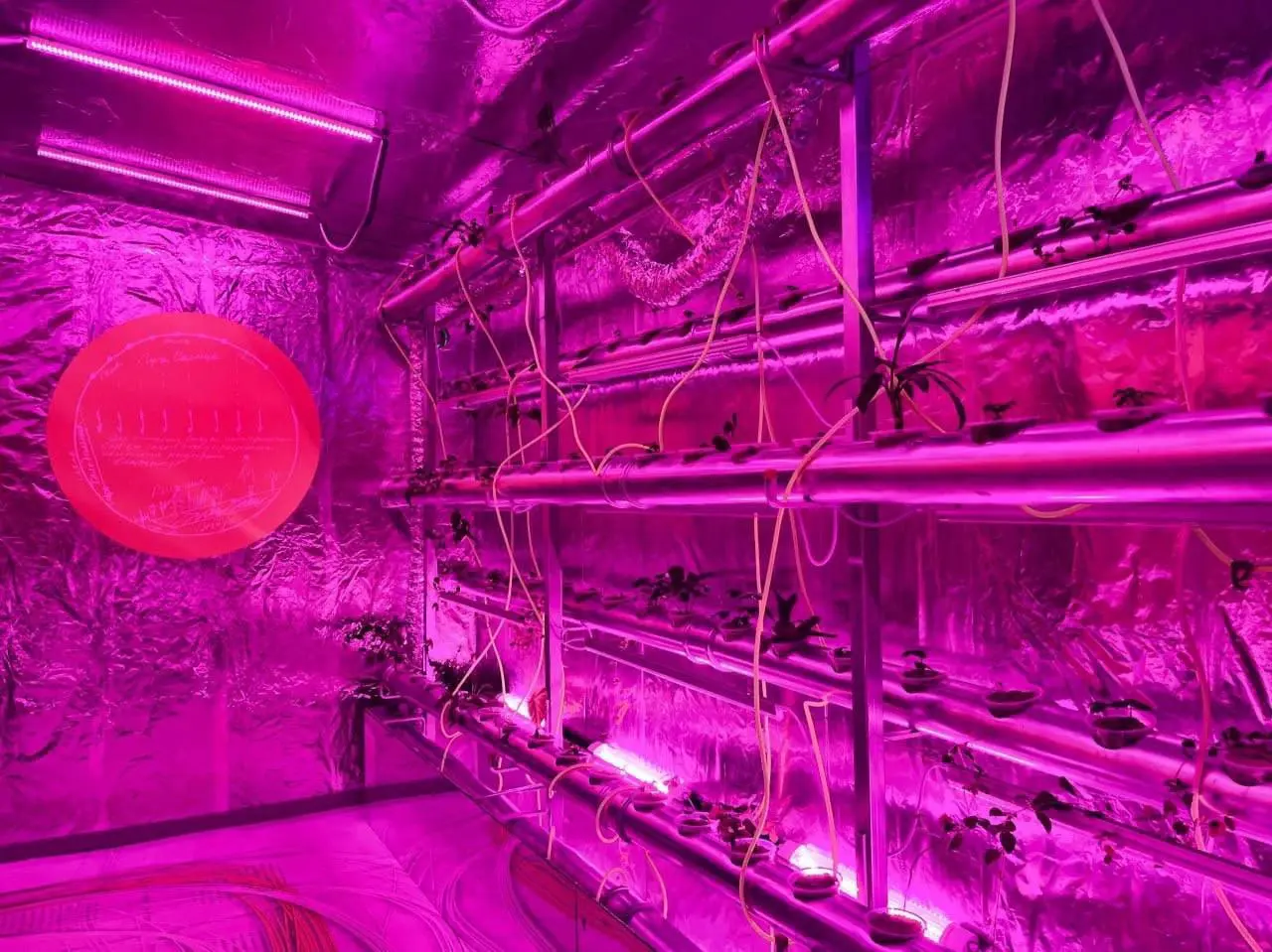 Дом занимательной науки