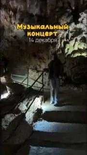 Вокруг света за 80 нот