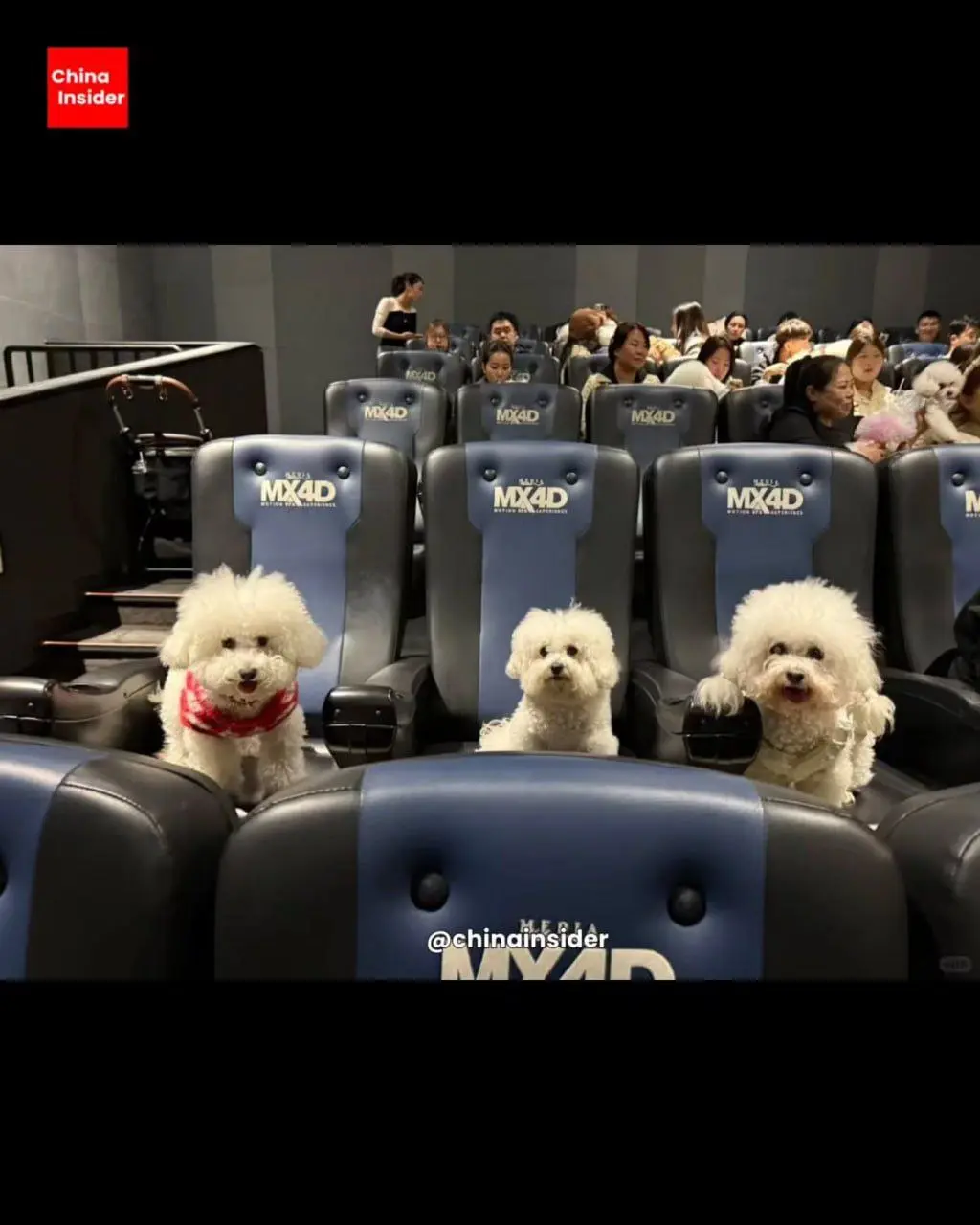 Зверополис 2