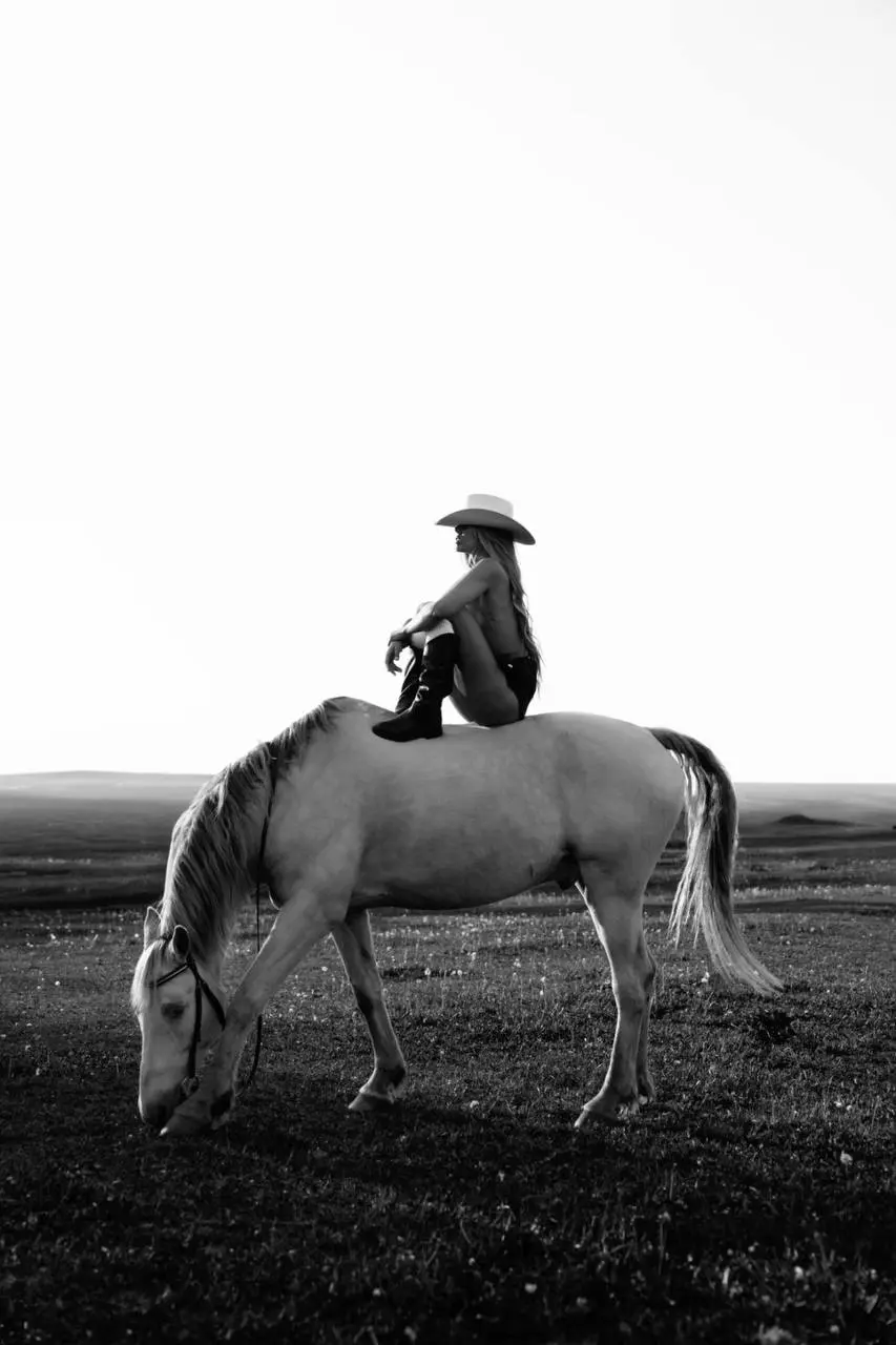 Фотодень с лошадью