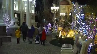 Новый год кота Леопольда