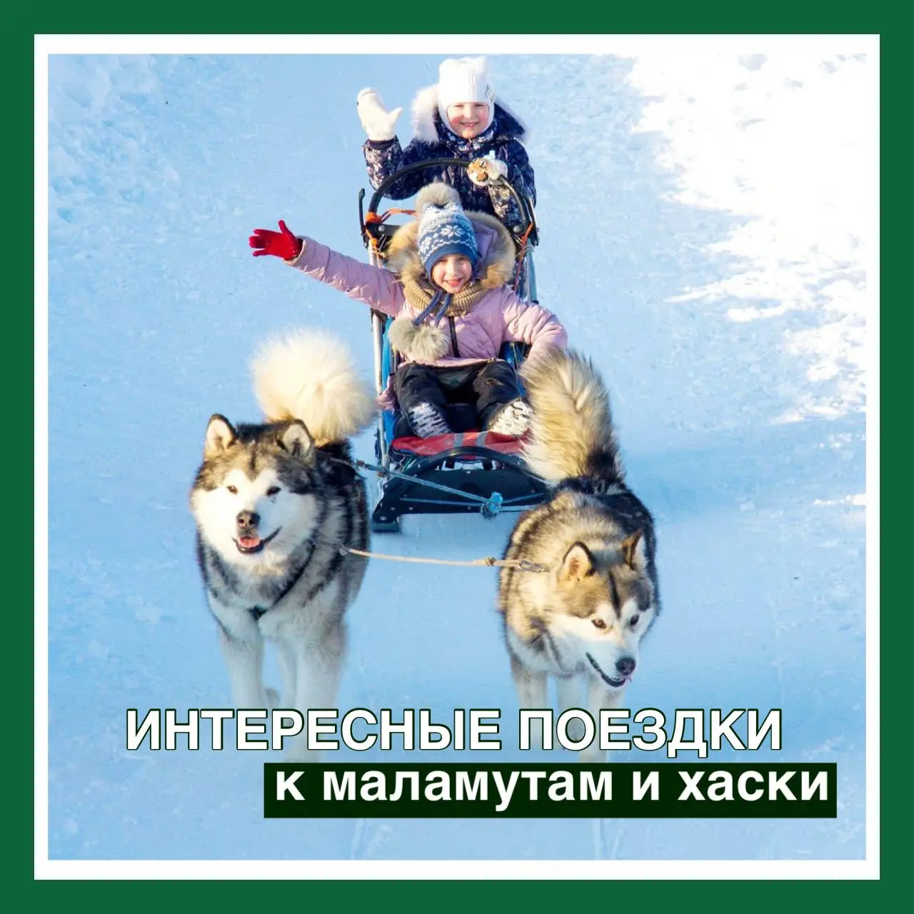 В гости к северным собакам