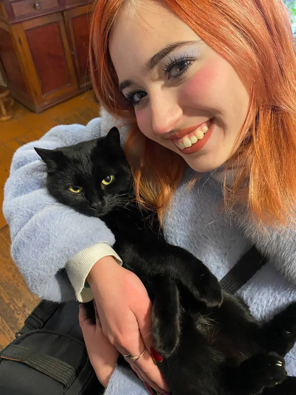 В гости к северным собакам