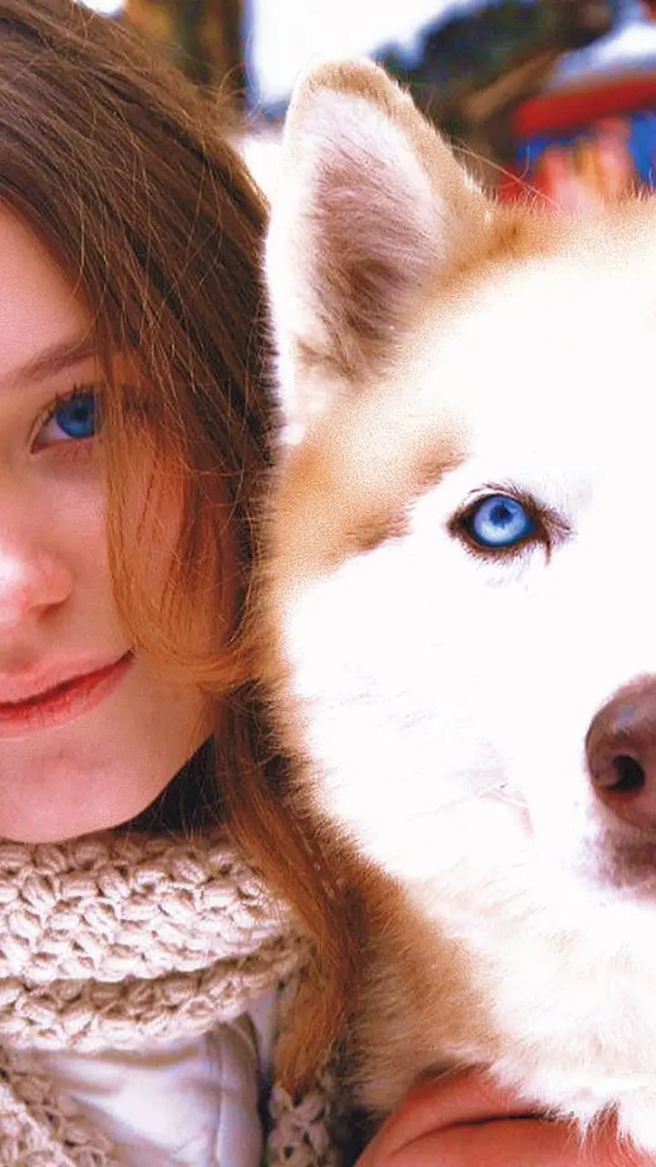 В гости к северным собакам