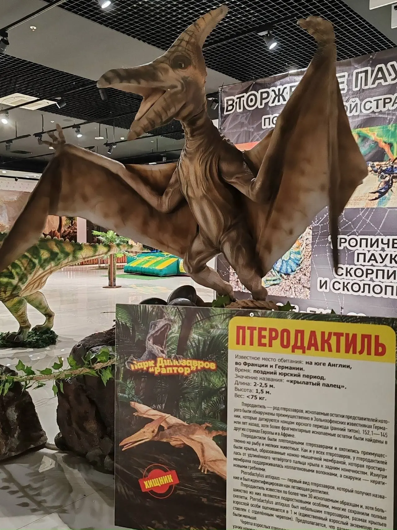 Выставка «Динопарк Раптор и Вторжение пауков»