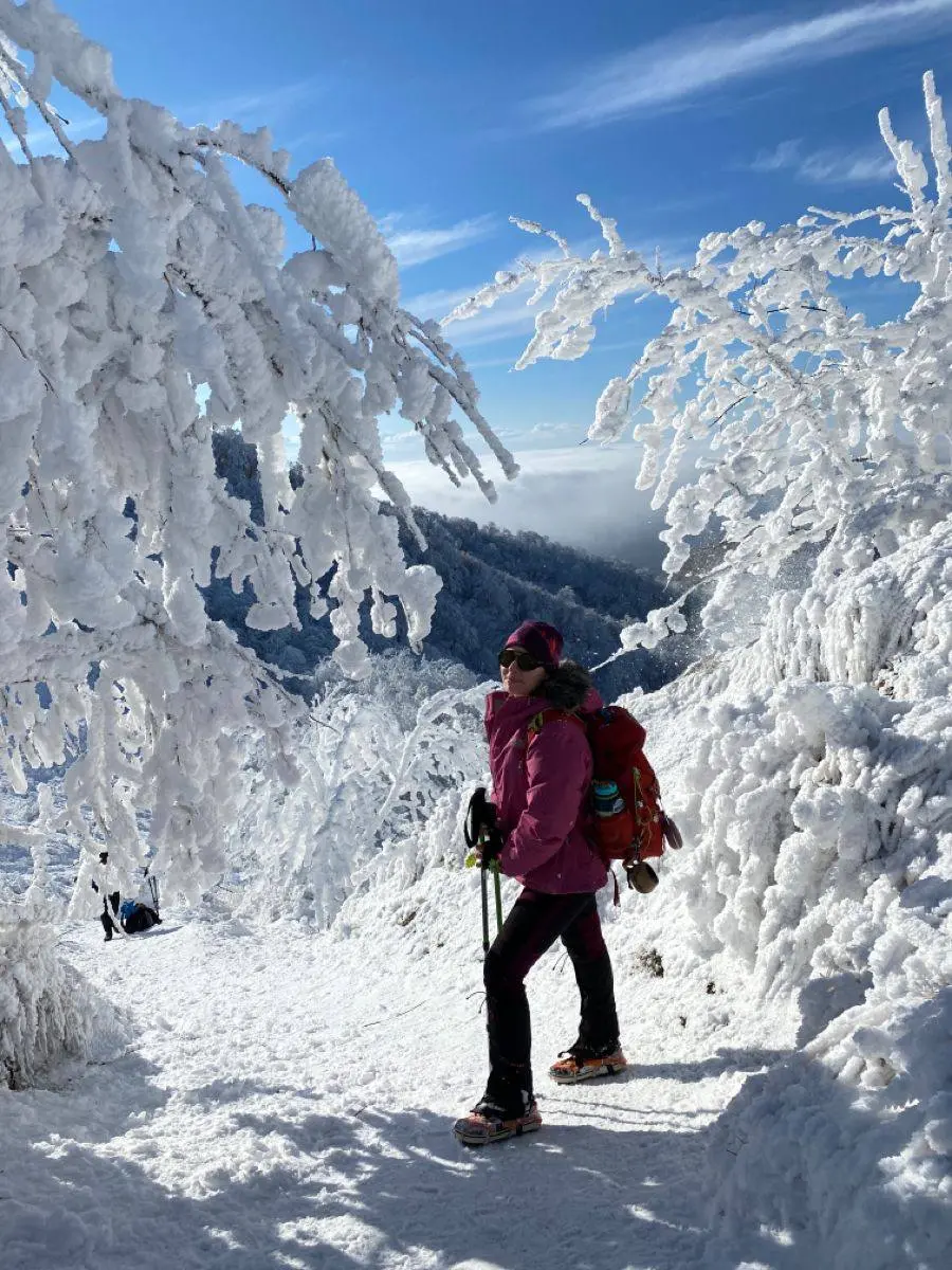Экскурсии и походы