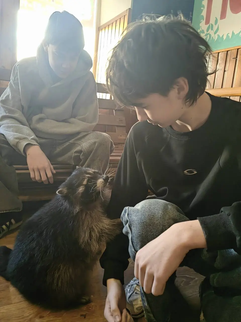 Куда едем отдыхать