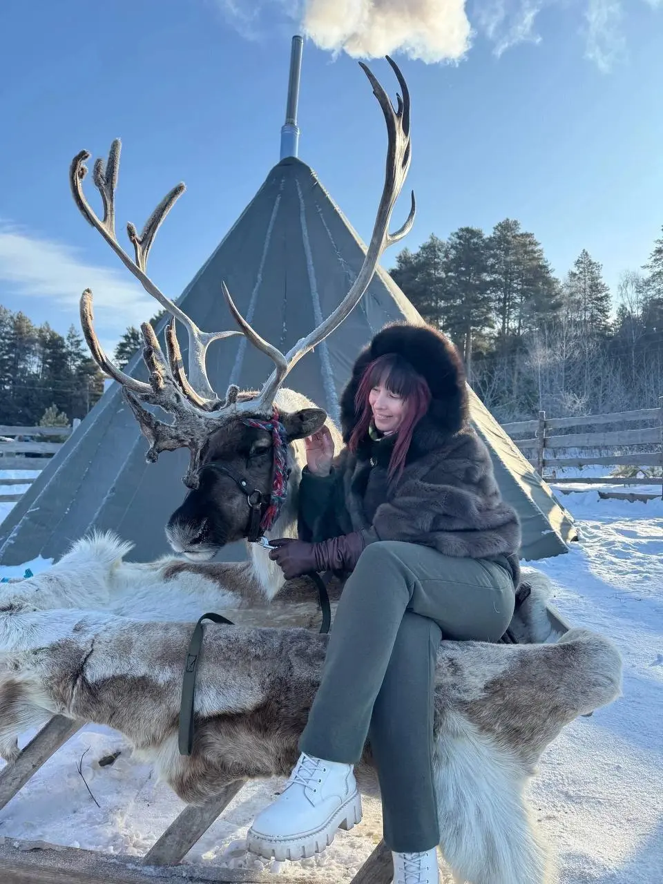 Едем к северным оленям