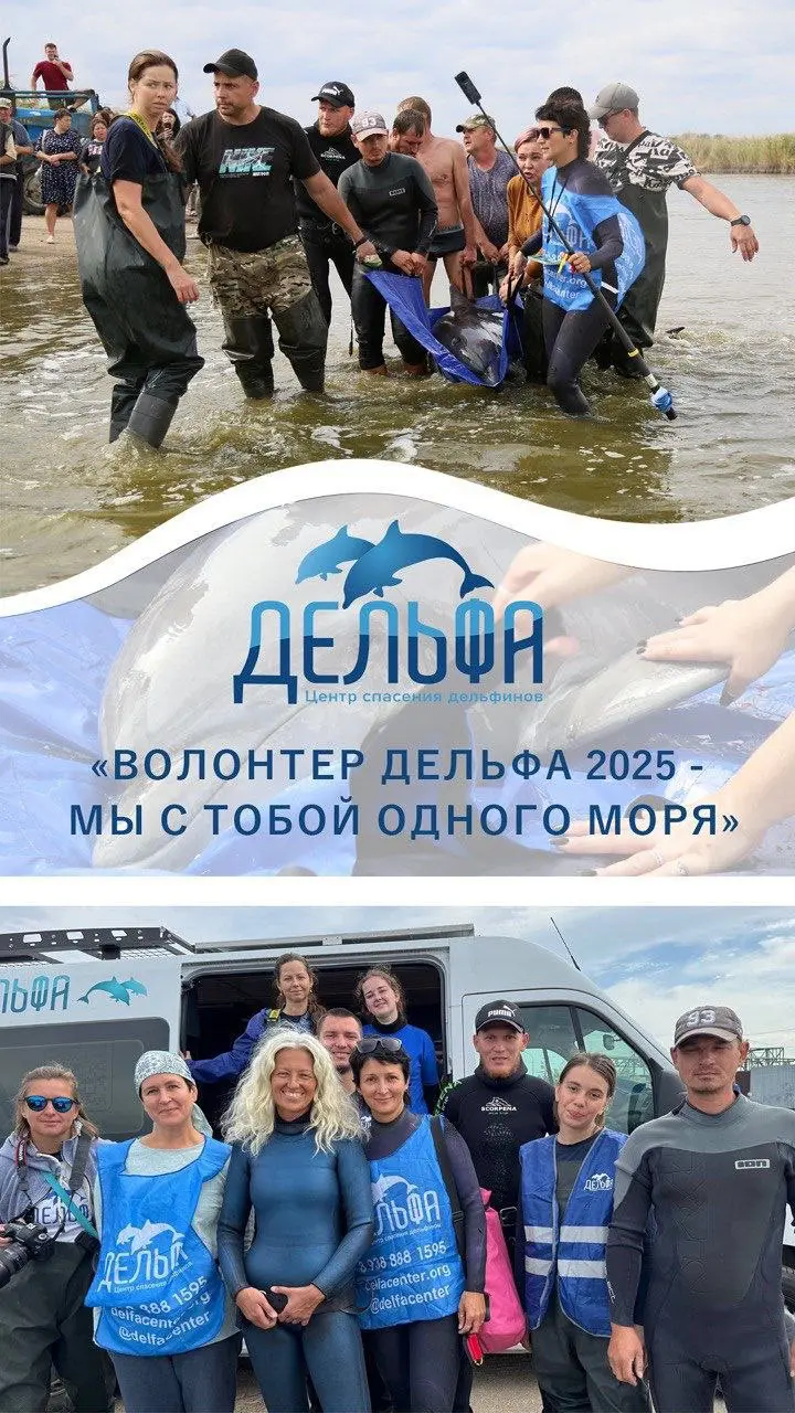 День Волонтера