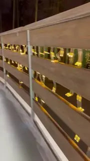 Каток в «Швейцарии»