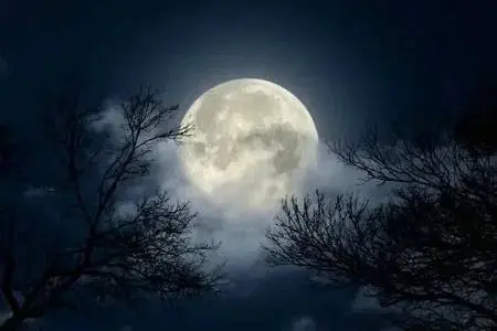 ПРАВИЛО № 2