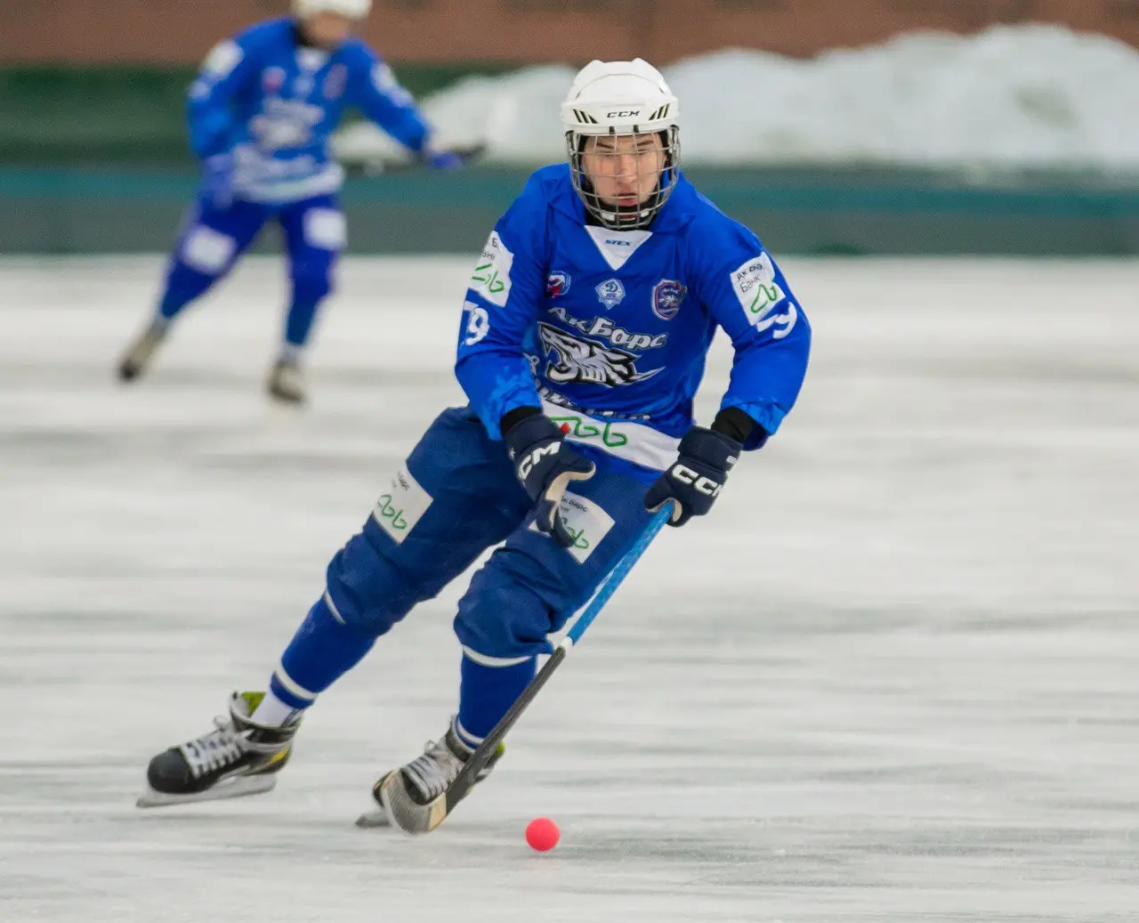 Высшая лига