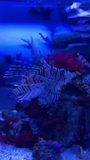 Бесплатный вход для именинников