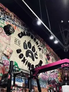 Открытая тренировка по боксу