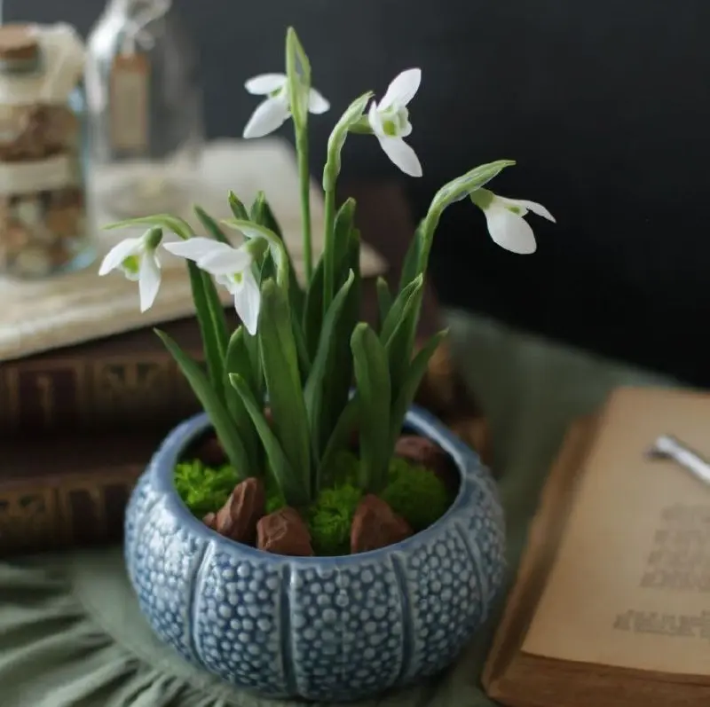 На свободную тему