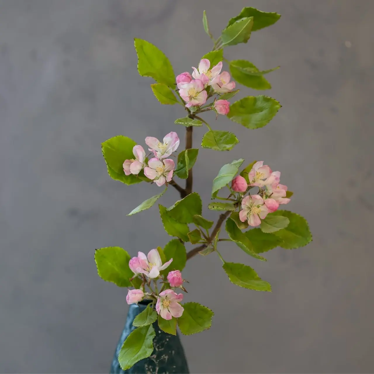 На свободную тему