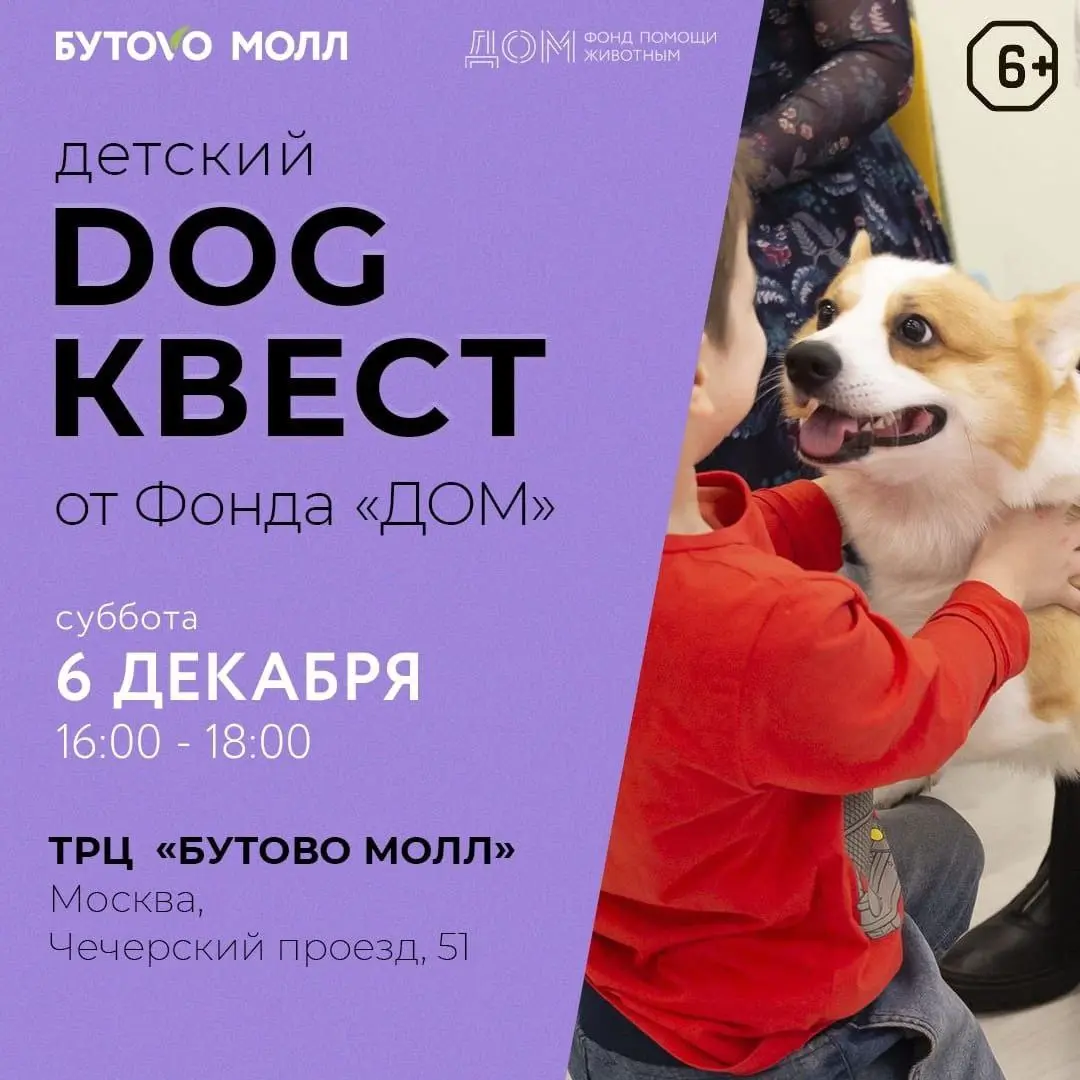 ДЕТСКИЙ DOG КВЕСТ