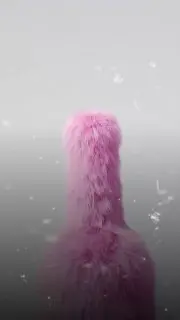 Яркая вечеринка