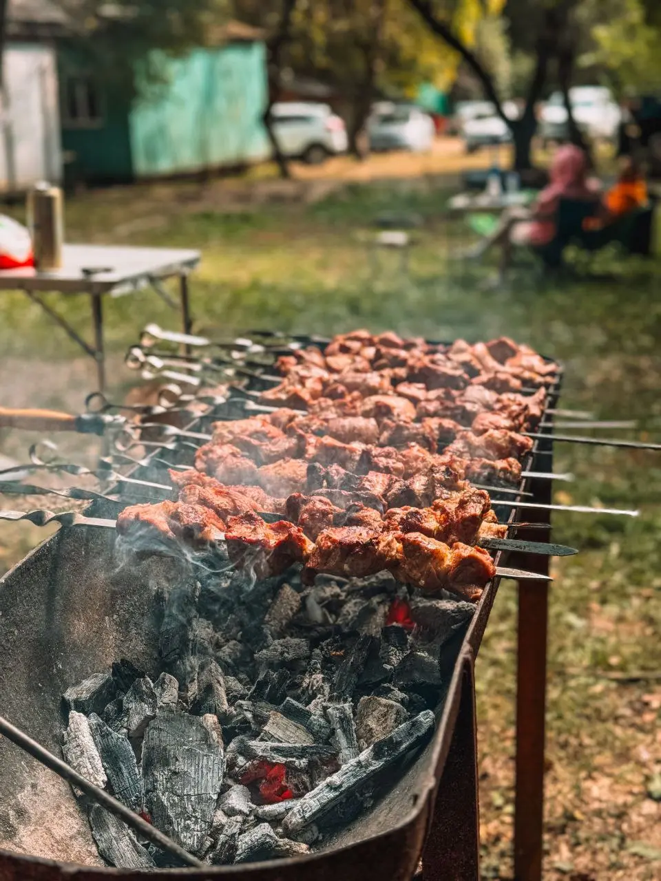 Походная костюмированная вечеринка