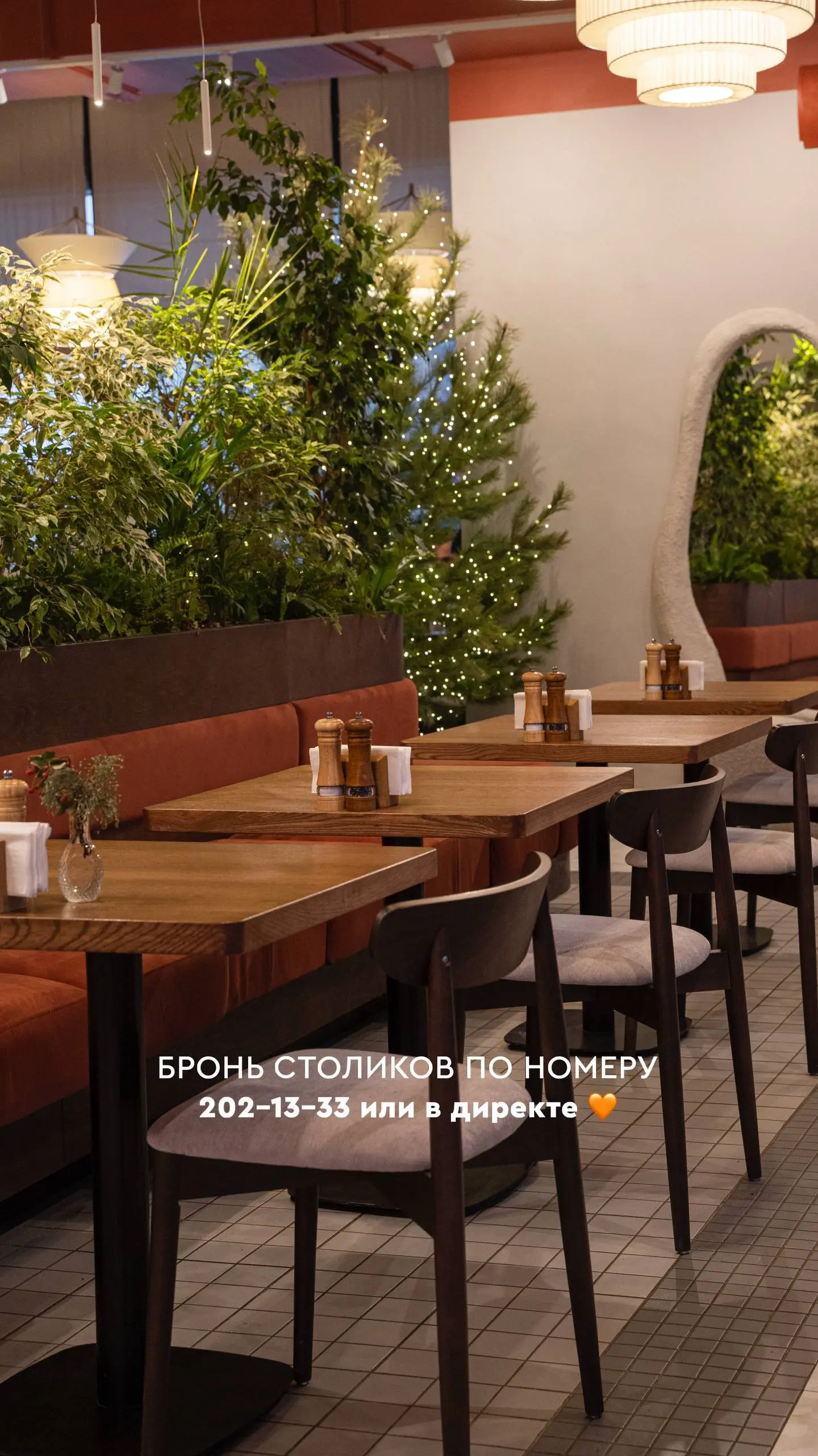 Вечер с живой музыкой